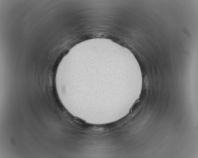 X0000114220570200911061509