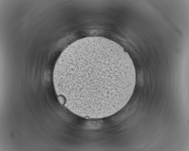 X0000114220571200911061509