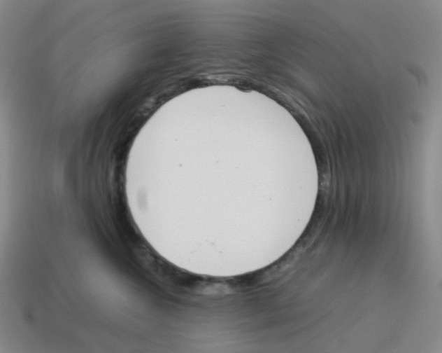 X0000114220572200911061509