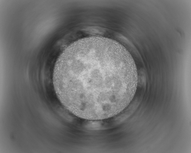 X0000114220573200911061509