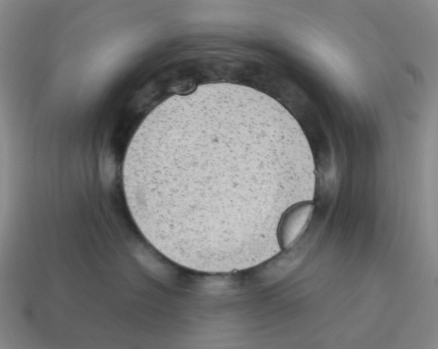 X0000114220574200911061509