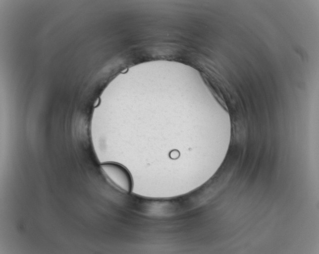 X0000114220575200911061509