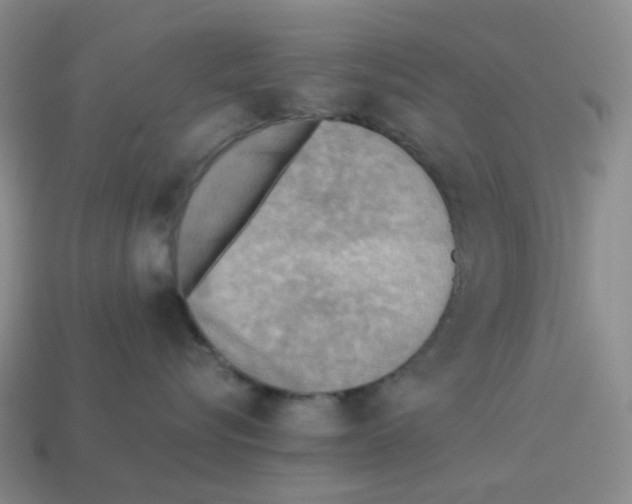 X0000114220576200911061509