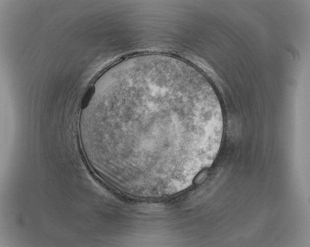 X0000114220577200911061508