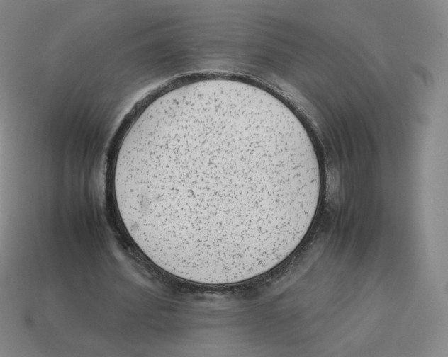 X0000114220580200911061508