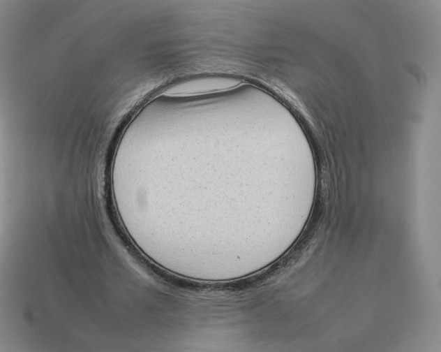 X0000114220581200911061508