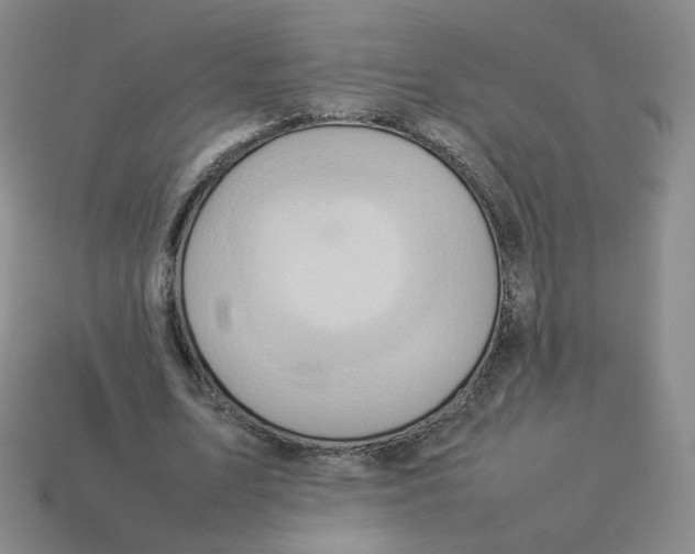 X0000114220583200911061508