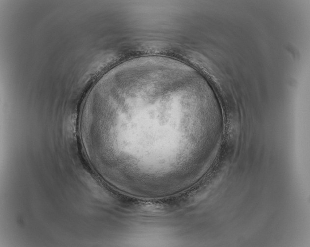 X0000114220585200911061508