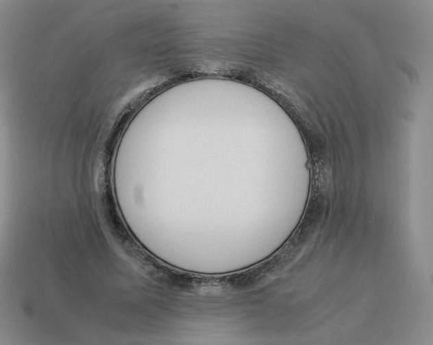 X0000114220587200911061508