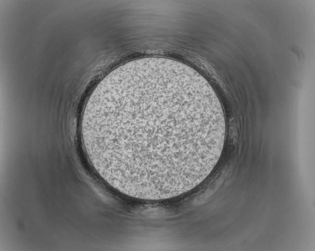 X0000114220589200911061508