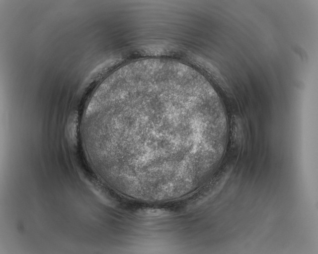 X0000114220590200911061508