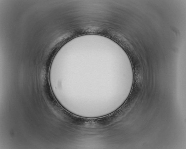 X0000114220591200911061508