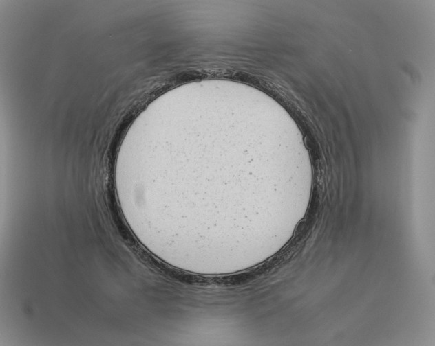 X0000114220593200911061508