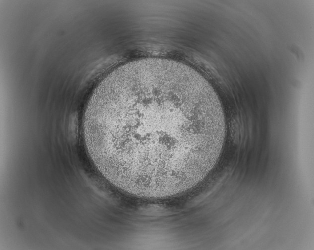 X0000114220594200911061508