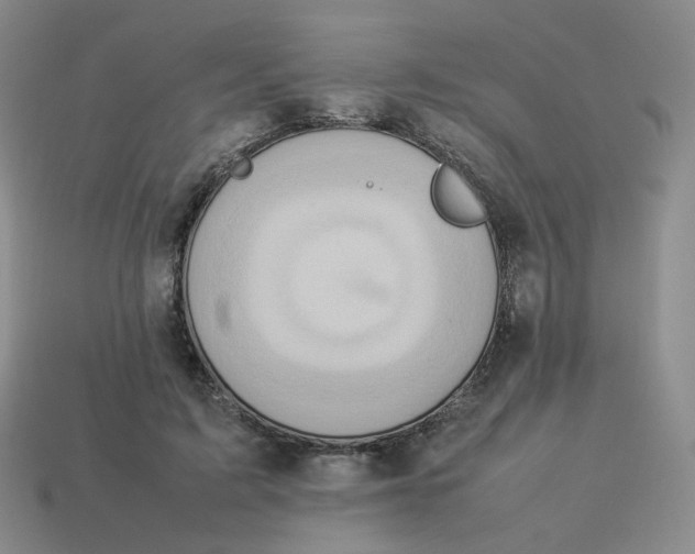 X0000114220595200911061508