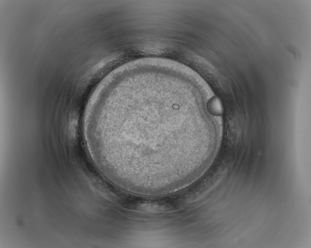 X0000114220596200911061508