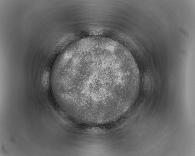 X0000114220598200911061508