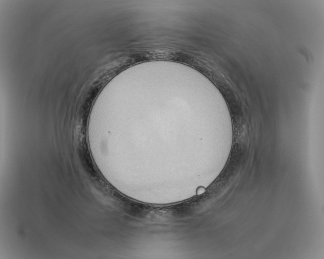 X0000114220599200911061508