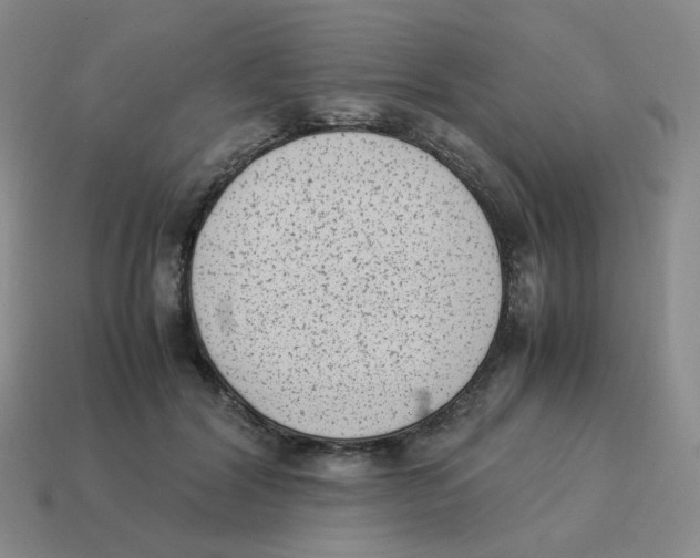 X0000114220604200911061508