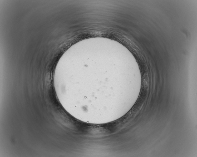 X0000114220605200911061508