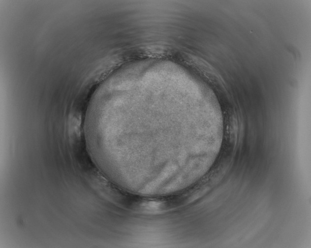 X0000114220610200911061508