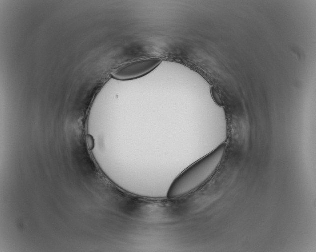 X0000114220611200911061508