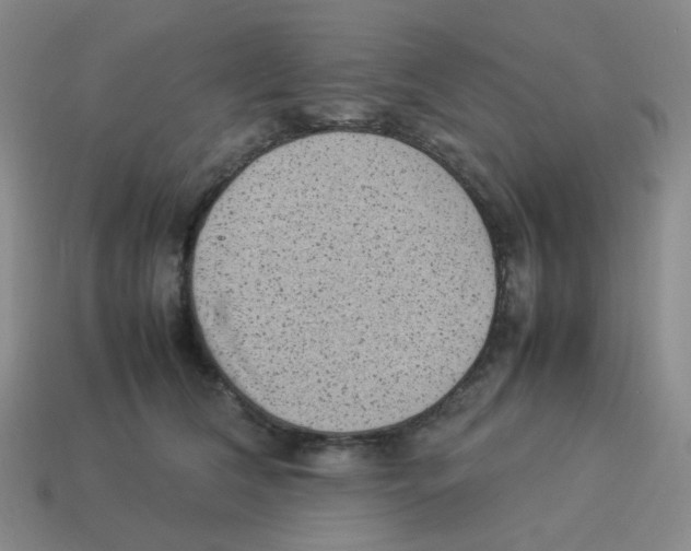 X0000114220612200911061508