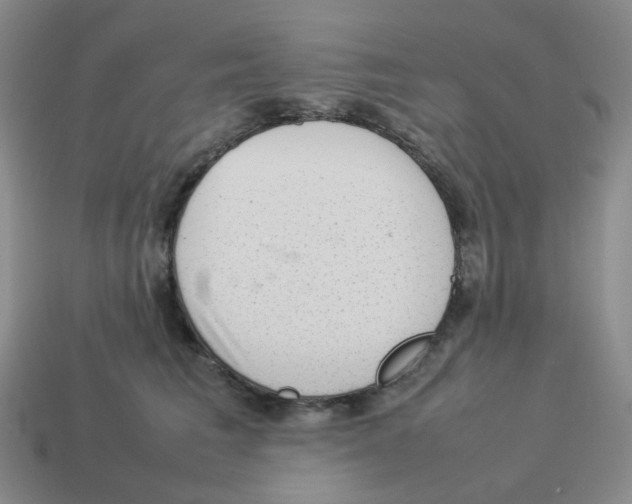 X0000114220613200911061508