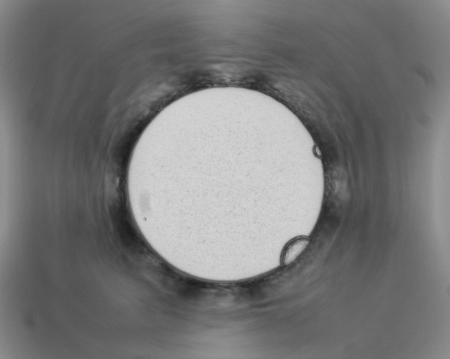 X0000114220615200911061508