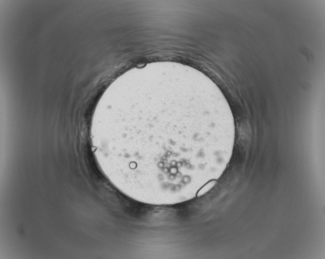 X0000114220617200911061508