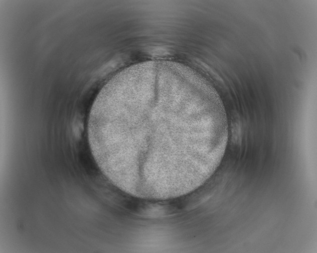 X0000114220618200911061508