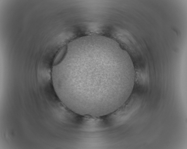 X0000114220621200911061508