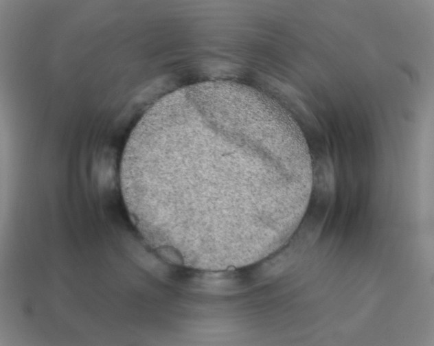 X0000114220622200911061508