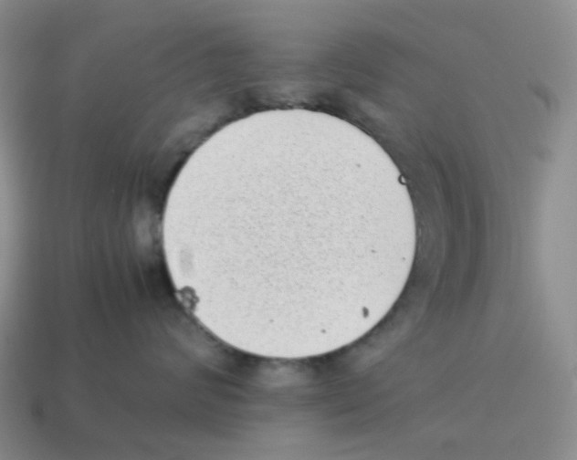 X0000114220624200911061508