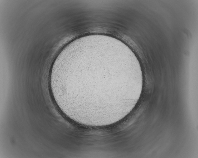 X0000114220625200911061507