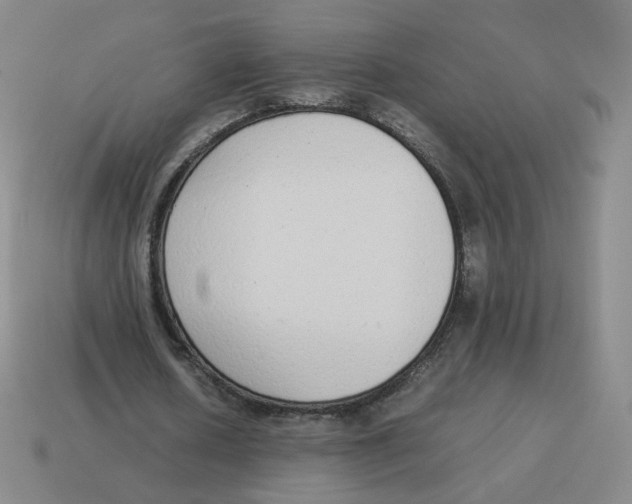 X0000114220626200911061507