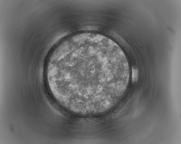 X0000114220627200911061507