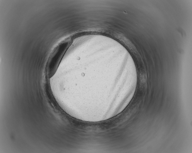 X0000114220628200911061507