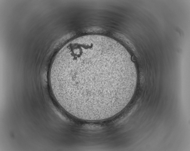 X0000114220633200911061507