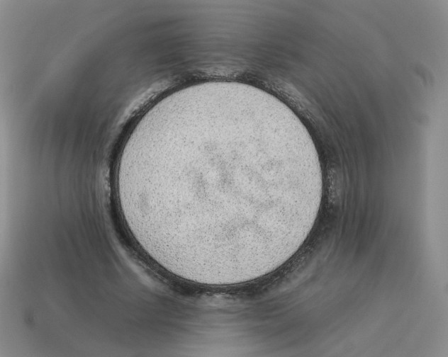 X0000114220634200911061507