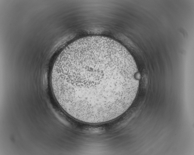 X0000114220638200911061507