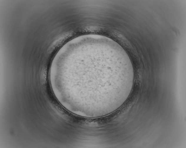 X0000114220640200911061507