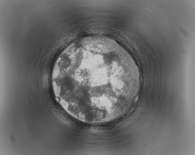 X0000114220641200911061507