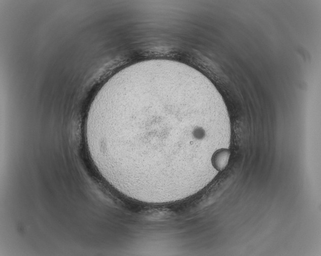 X0000114220642200911061507