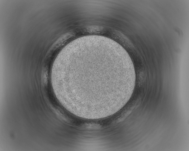 X0000114220644200911061507