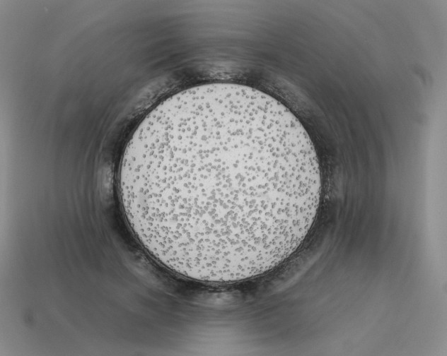 X0000114220646200911061507