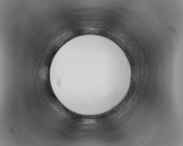 X0000114220649200911061507