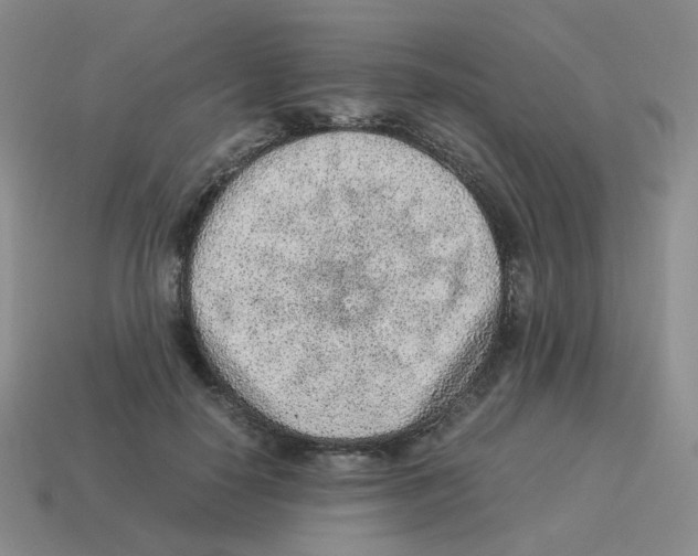 X0000114220650200911061507