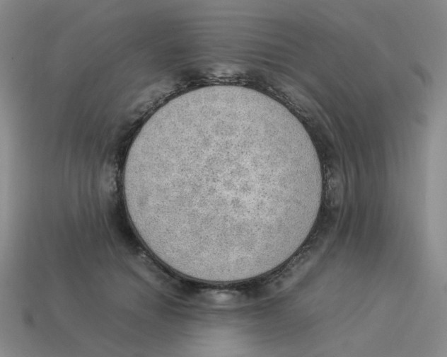 X0000114220654200911061508