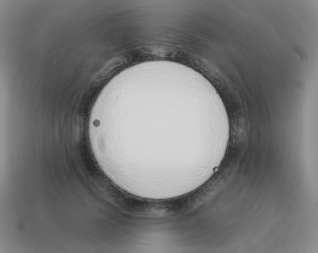 X0000114220656200911061508